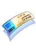 Passaporte