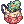 Cesto de Pitaya