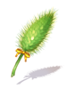 新手狐尾草魔杖