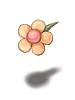 花叶