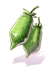 猕猴桃果实