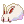 趴趴疯兔