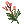 毒草夹竹桃