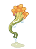 Drocera Tentacle