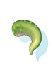 Petit's Tail