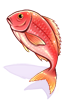 Snapper