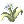 Vital Flower