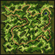 Prontera Fields (Course)
