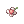 White Petal