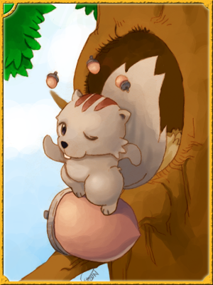 Coco Card