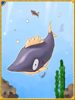 Phen Card