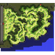 Prontera Field