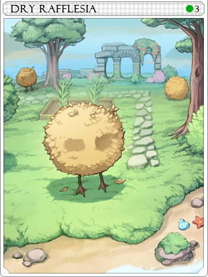 Dried Rafflesia Card