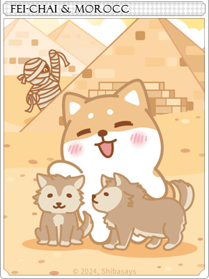 Fei-Chai and Morroc Card