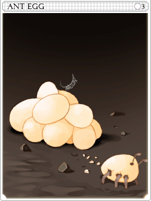 Andre Egg Card