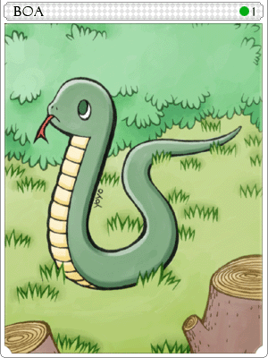 Boa Card