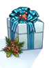 (Limited) Christmas Package I