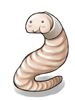 Fragile Worm