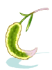 Paradise Foxtail II