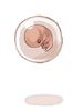 Strange Embryo
