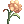 Mantis Flower