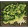 Prontera Field