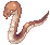 アナコンダク