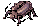 Thief Bug