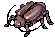 Bicho ladrón hembra