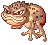 Poisonous Toad