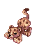 Baby Leopard