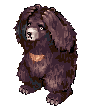 Oso Zipper