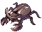 Beetle