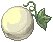 Calabaza
