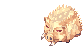 Salvaje dorado