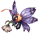 Papila