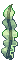 Seaweed