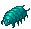 Faceworm Larva