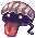 Shell Fish