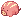Swift Savage Bebe