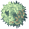 C1_RAFFLESIA