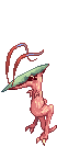 Solid Novus