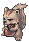 松鼠