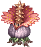 Swift Rafflesia Alnoldi