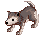 Lobo del desierto cazador