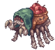 Araña Pom de la fruta
