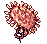 Sea Anemone