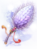 ロイヤルフォックステイル