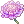 スカビオサの花