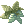 바질
